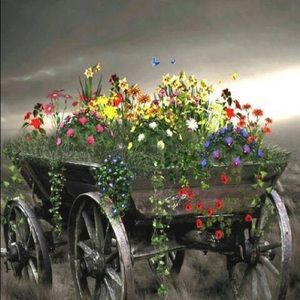 Meet your Posher, Jo